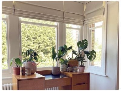 White wooden blinds in a dark grey panelled dining room 