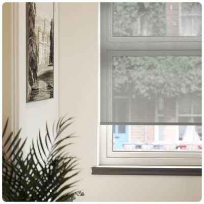 Sheer, voile transparent grey roller blind in a window 