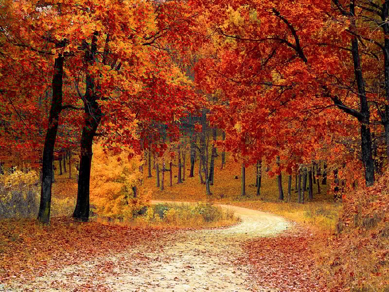 27/10/2018-How to Prepare Your Home for Autumn