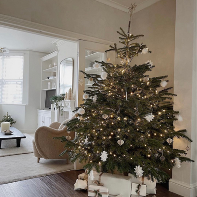 Scandi style real Christmas tree in minimal, neutral living room.