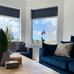 A blue themed living room with two blue roller blinds in the window