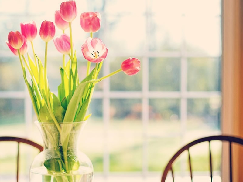 16/06/2017-5 Ways to Brighten Up Your Home Quickly
