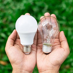 someone holding 2 different bulbs