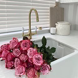 Roses in a kitchen sink in front of a white wooden blind