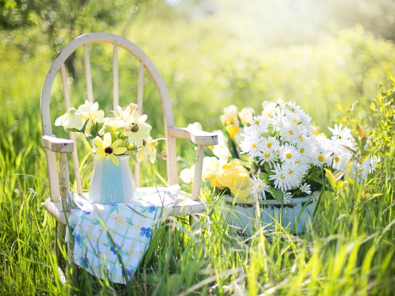 Taste of Summer