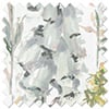 Cecelia, Cool Elegance - Roller Blind