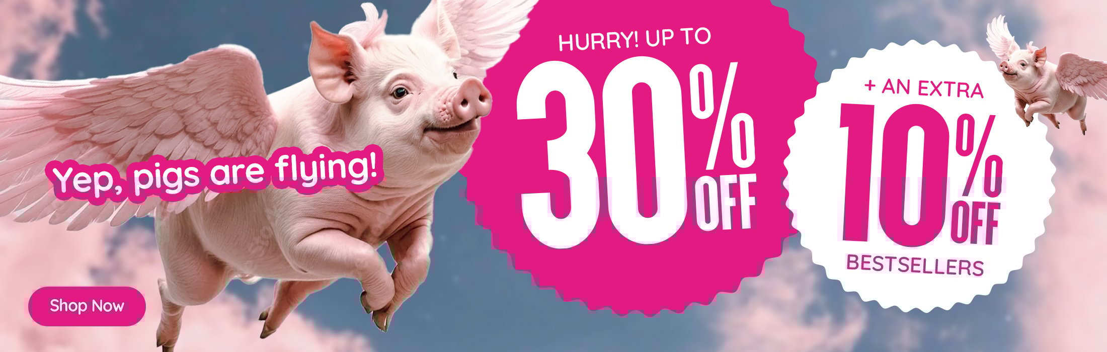 Pay Day Sale